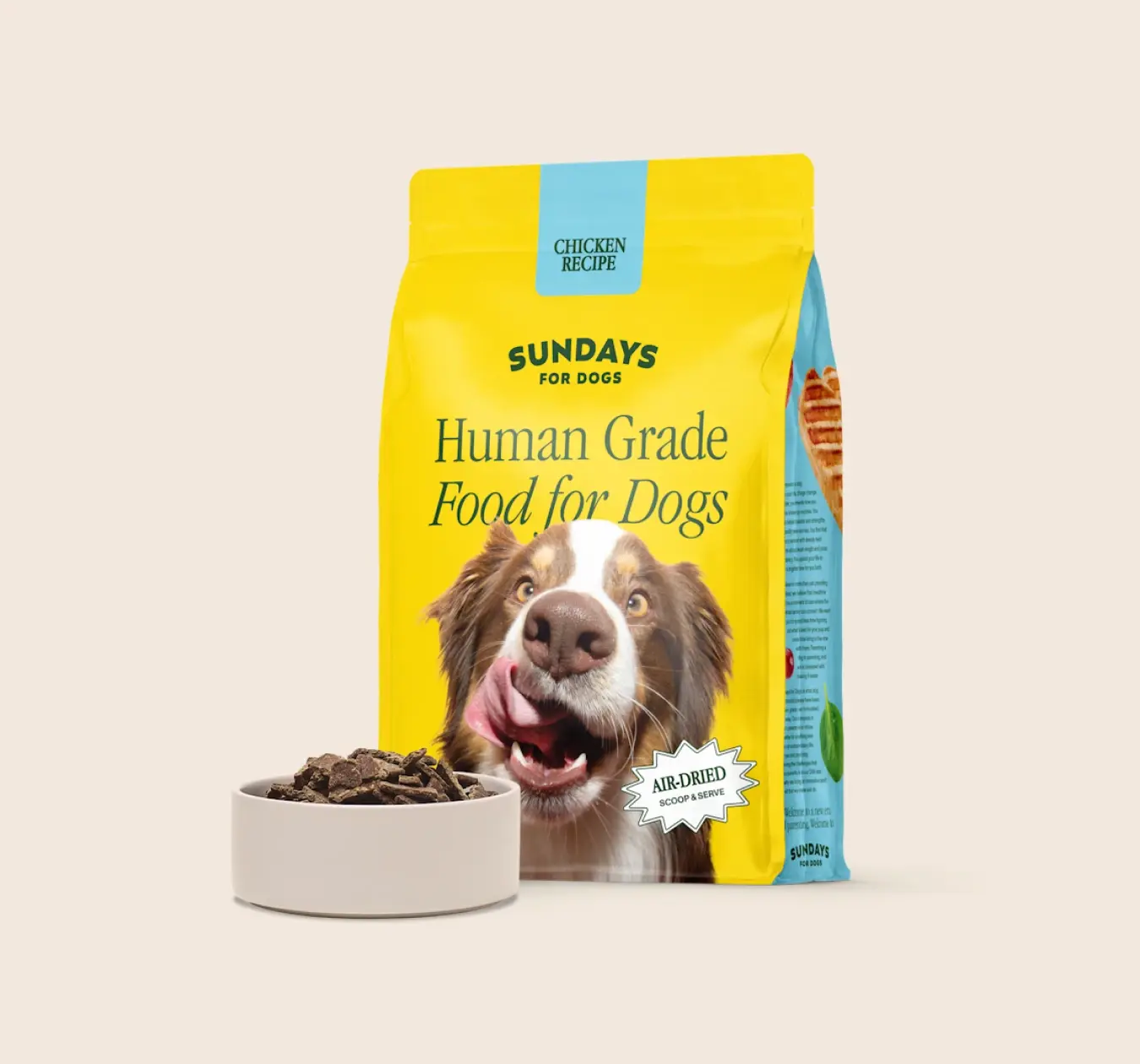 Feed Me Human Yellow Dog Food Mat