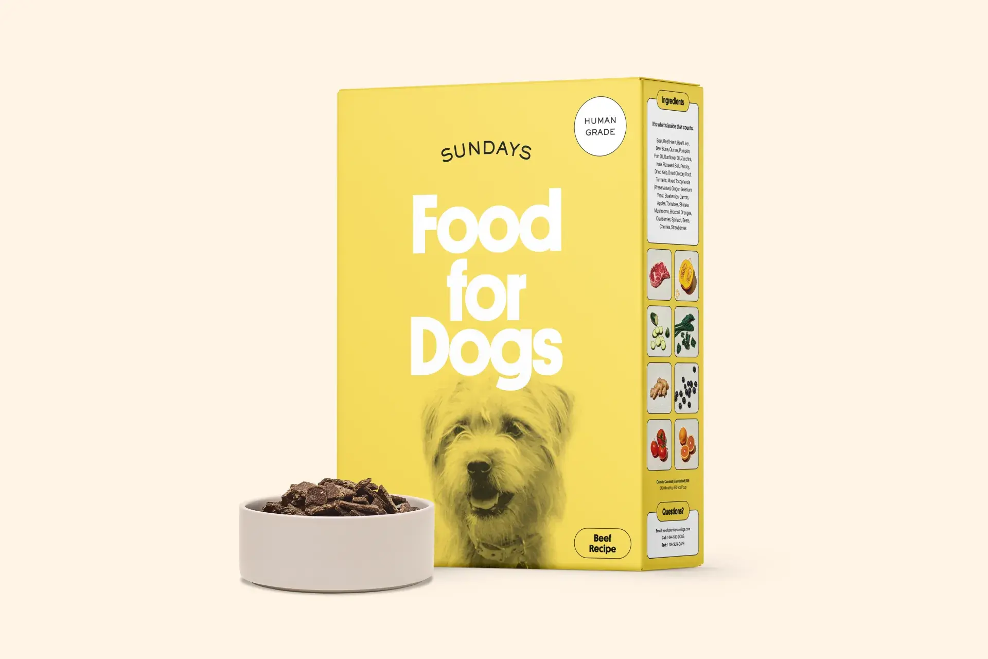 Sundays for Dogs yellow box and bowl full of beef dog food