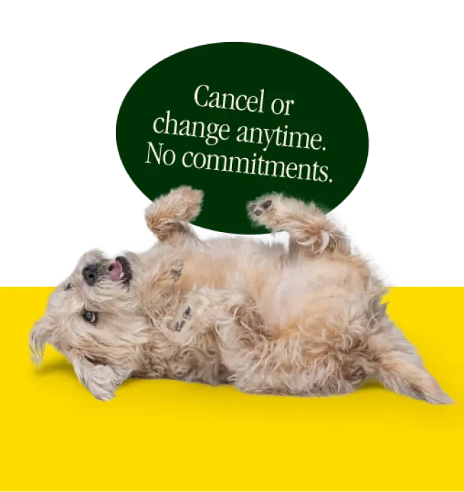 Cancel or change anytime. No commitments.
