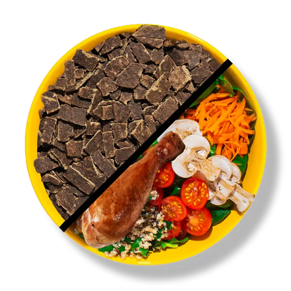 Bowl of our turkey recipe shown side by side with the actual ingredients