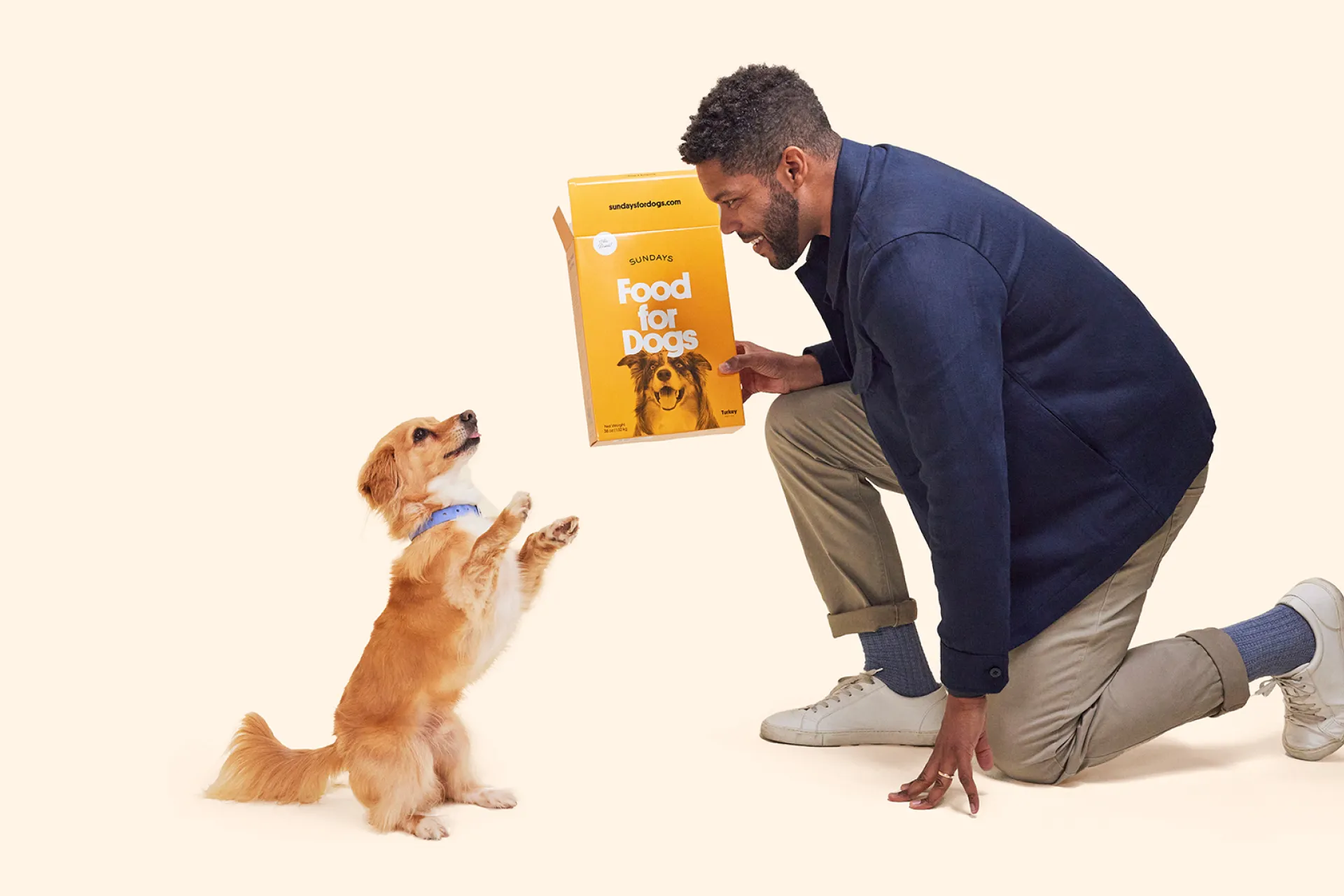 Small mixed breed dog excited by person bending down holding box of Sundays turkey dog food